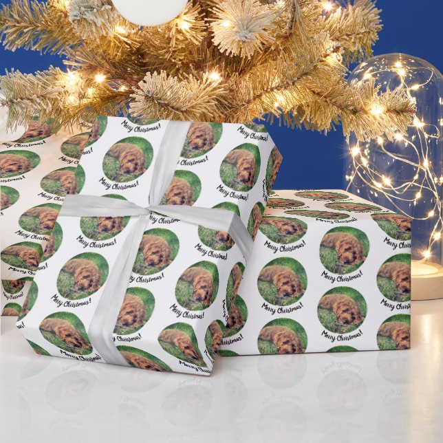 Papel de Regalo de Golden Doodle Adorable (Vacaciones)