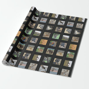 Papel de regalo de la foto del animal salvaje