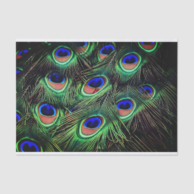 Papel de regalo de la pluma de pavo real (Anverso)