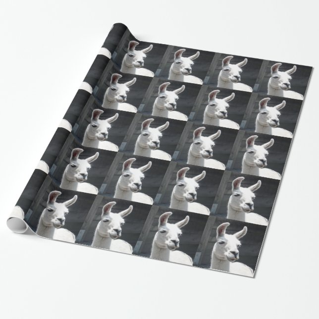 Papel de Regalo de Llama Sonriente (Desenrollado)