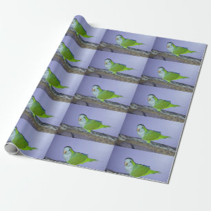 Papel de regalo de loro Quaker