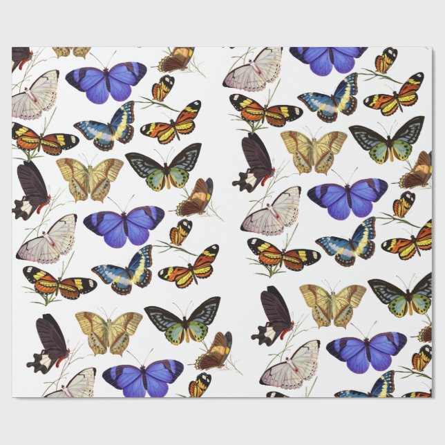 Papel de Regalo de Mariposas (Superficie plana)