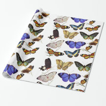 Papel de Regalo de Mariposas
