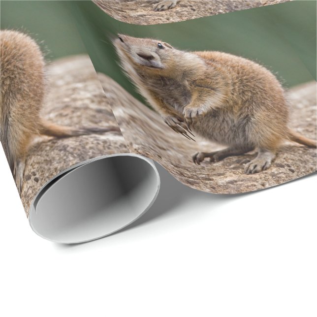 Papel de regalo de perro de la pradera curioso (Esquina del rollo)