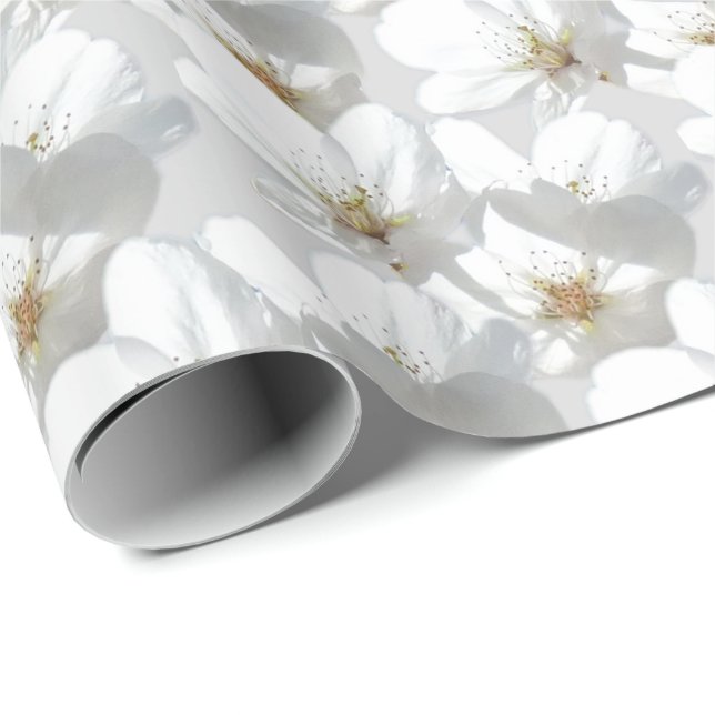 Papel de regalo de Personalizado de papel envuelto (Esquina del rollo)