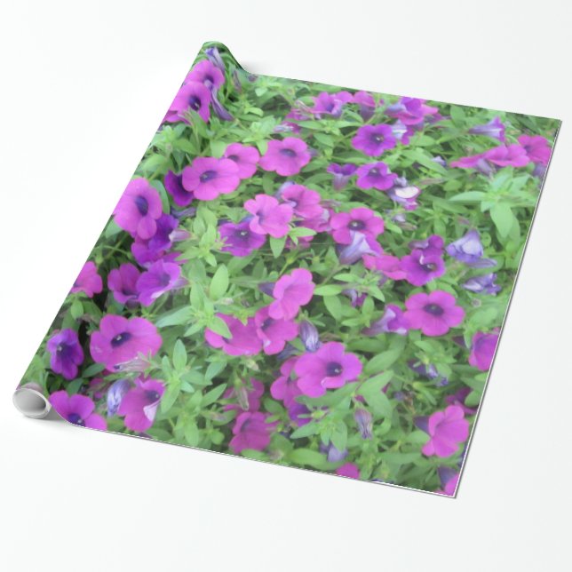 Papel de regalo de Petunias Moradas (Desenrollado)