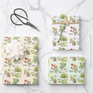Papel de regalo de plantas nativas del volcán de H