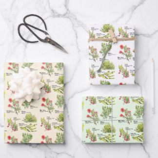 Papel de regalo de plantas nativas del volcán de H