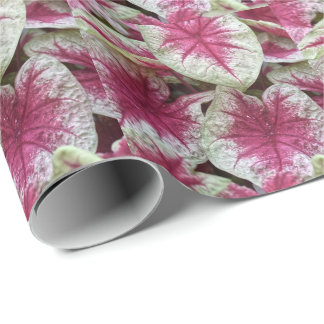 Papel de regalo de plantas rosadas florales