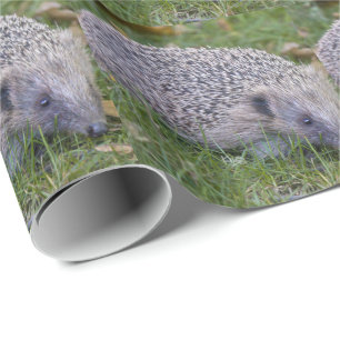Papel de regalo de Prickles- Erizo Europeo