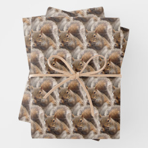 Papel de Regalo de Regalo de Ardilla Encantadora d