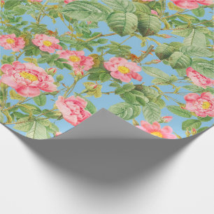 Papel de regalo de rosa rosa vintage en azul cielo