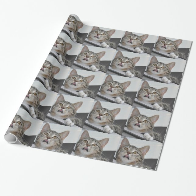Papel de regalo de Skittles el gato (Desenrollado)
