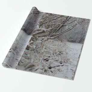 Papel De Regalo Debajo de una manta de la nieve