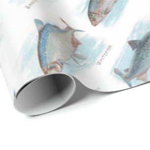 Papel De Regalo Debajo del mar