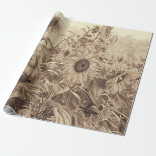Papel De Regalo Decoloración De Tono Sepia Vintage De Campo De Gi