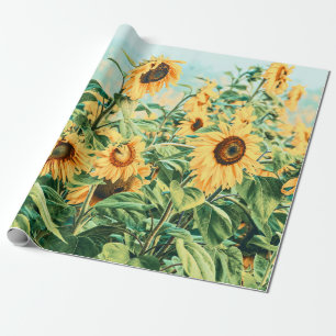 Papel De Regalo Decoración Verde azulada amarilla de campo girasol