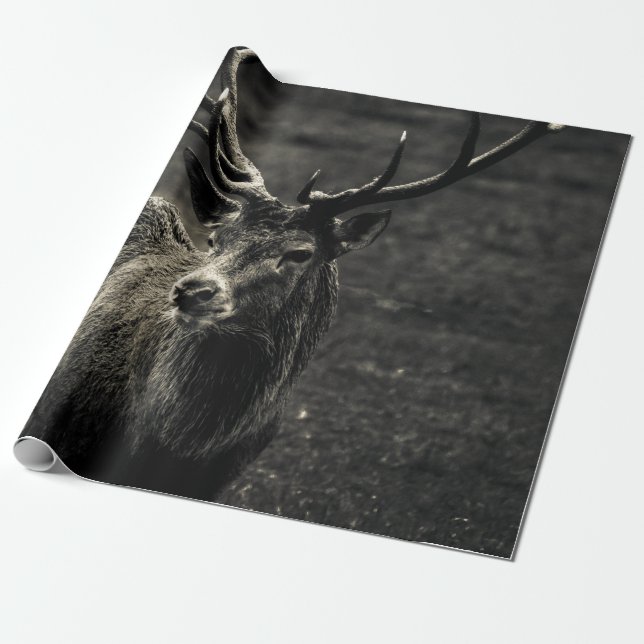 PAPEL DE REGALO DEER 12 POINT BUCK (Desenrollado)