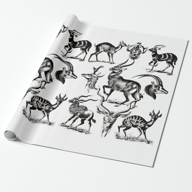 Papel De Regalo Deer Buck Antelope Animals wildlife Illustrations (Desenrollado)