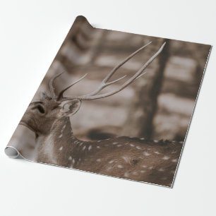 PAPEL DE REGALO DEER CON ANTLERS