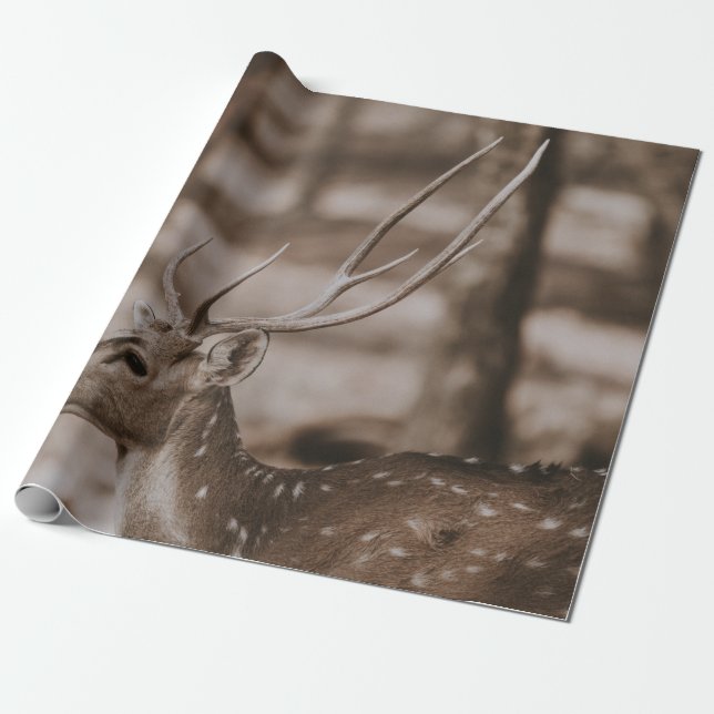 PAPEL DE REGALO DEER CON ANTLERS (Desenrollado)