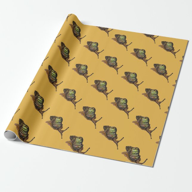 papel de regalo del caracol (Desenrollado)