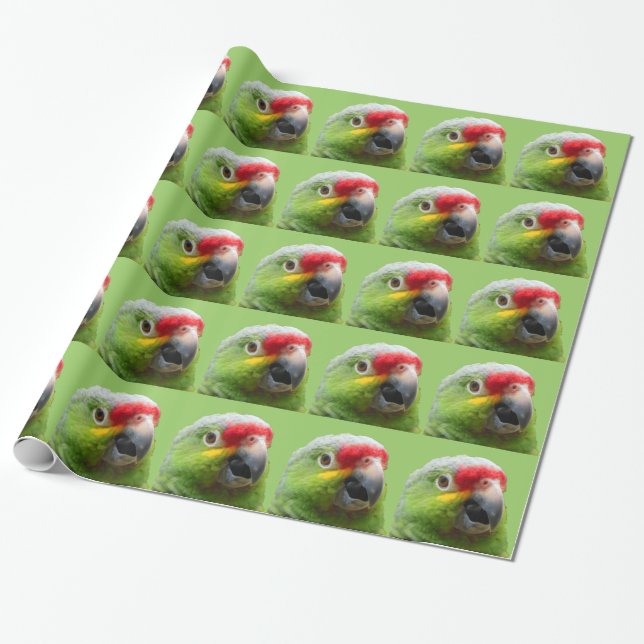 Papel de regalo del loro (Desenrollado)