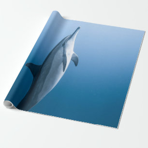 Papel De Regalo Delfín marino