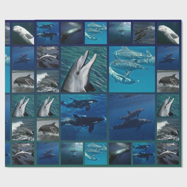 Papel De Regalo Delfínes y collage de las ballenas (Superficie plana)