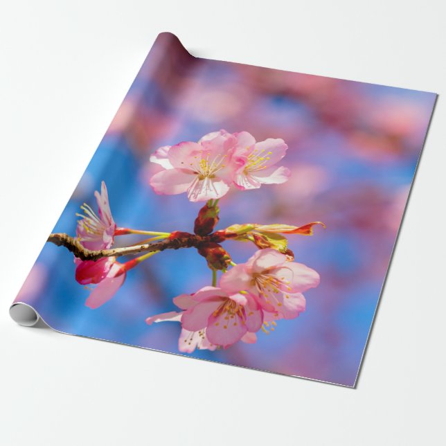 Papel De Regalo Delicado Sakura Beauty contra el cielo azul (Desenrollado)