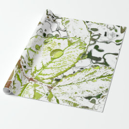 Papel De Regalo Descenso de rocío