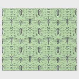 Papel De Regalo Design insectes vintage noir sur vert sauge doux