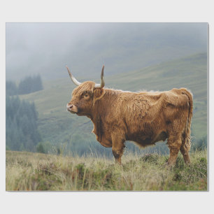 Papel De Regalo Desnudos mañaneros de Highland Cow