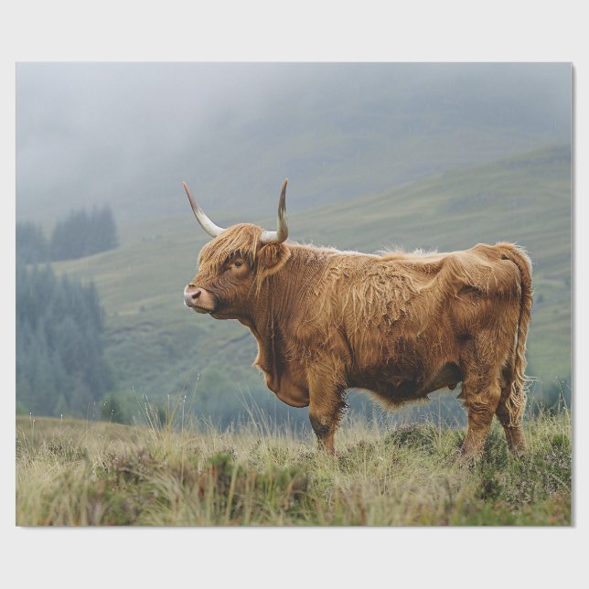 Papel De Regalo Desnudos mañaneros de Highland Cow (Superficie plana)