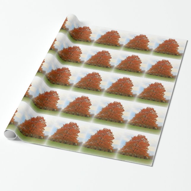 Papel De Regalo Día de Otoño (Desenrollado)