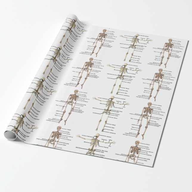 Papel De Regalo Diagrama médico esquelético humano de la anatomía (Desenrollado)