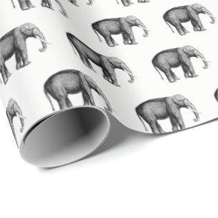 Papel De Regalo Dibujo Antiguo de Elefante