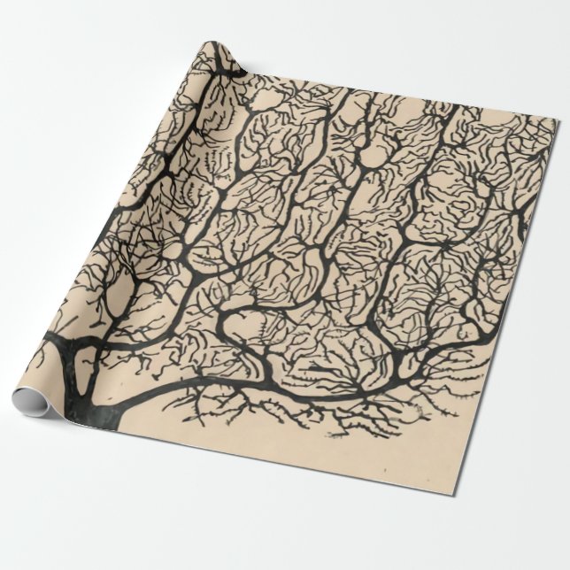 Papel De Regalo Dibujo De Neuronas Por Santiago Ramón Y Cajal (Desenrollado)