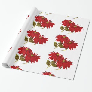 Papel De Regalo Dibujo rojo hermoso del Poinsettia