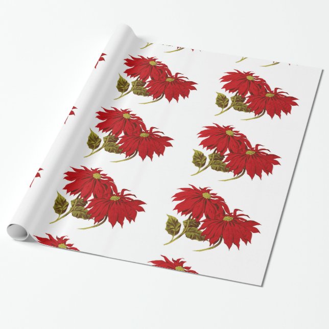 Papel De Regalo Dibujo rojo hermoso del Poinsettia (Desenrollado)