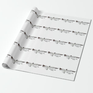 Papel De Regalo Difundir esas alas