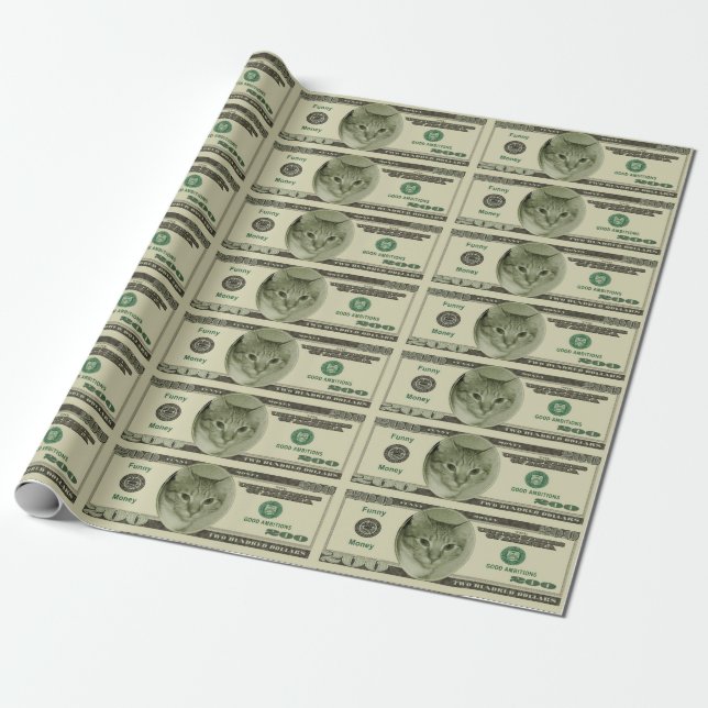 Papel De Regalo Dinero gracioso (Desenrollado)