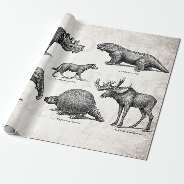 Papel De Regalo Dinosaurios retros del viejo ilustracion del (Desenrollado)
