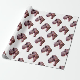 Papel De Regalo Dinosaurios T-Rex