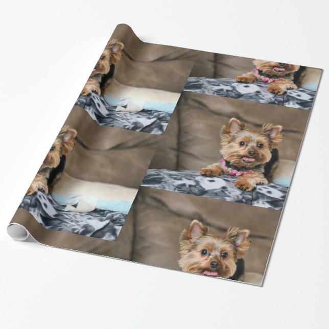 Papel De Regalo Díntimo dinamo (Desenrollado)