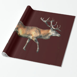 Papel De Regalo Diseño de animales de la fauna silvestre Red Deer
