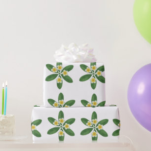 Papel De Regalo Diseño de Bordado de Frangipani Botánico