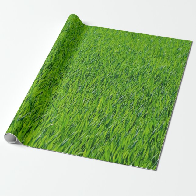 Papel De Regalo Diseño de hierba verde (Desenrollado)