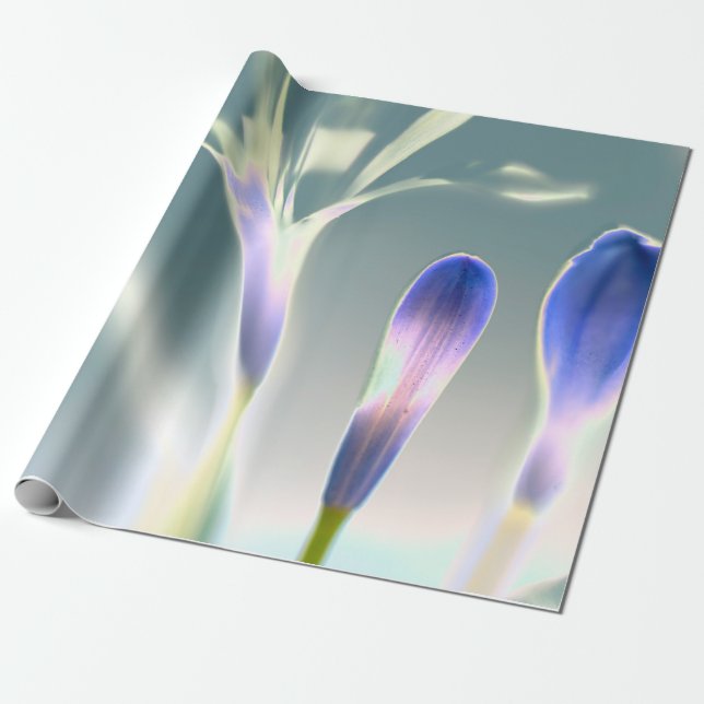 Papel De Regalo Diseño floral de lavanda espumosa (Desenrollado)