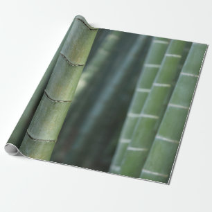 Papel De Regalo Disparos verdes de bambú